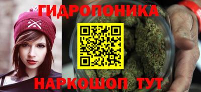 2c-b Гатчина