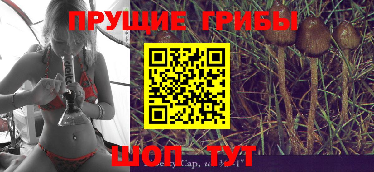 Псилоцибиновые грибы Cubensis Волжский