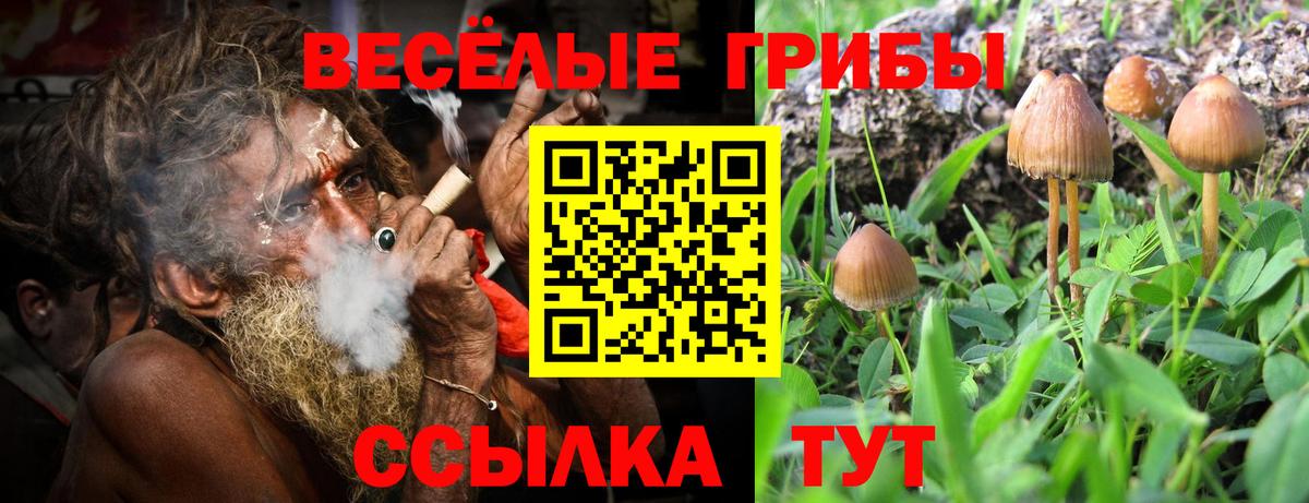 Псилоцибиновые грибы GOLDEN TEACHER  Вход с VPN  Волжский 